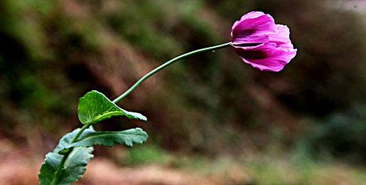 动作游戏《光明破坏者》定价公布 限时特惠首发送前作